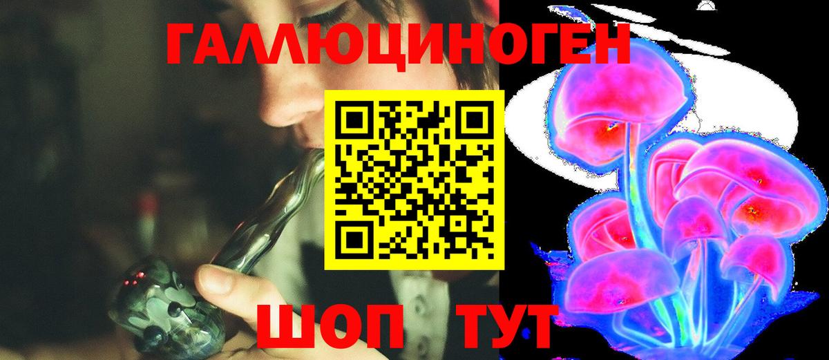 Псилоцибиновые грибы Magic Shrooms  Псилоцибиновые грибы GOLDEN TEACHER  Вход с VPN  Волгоград 